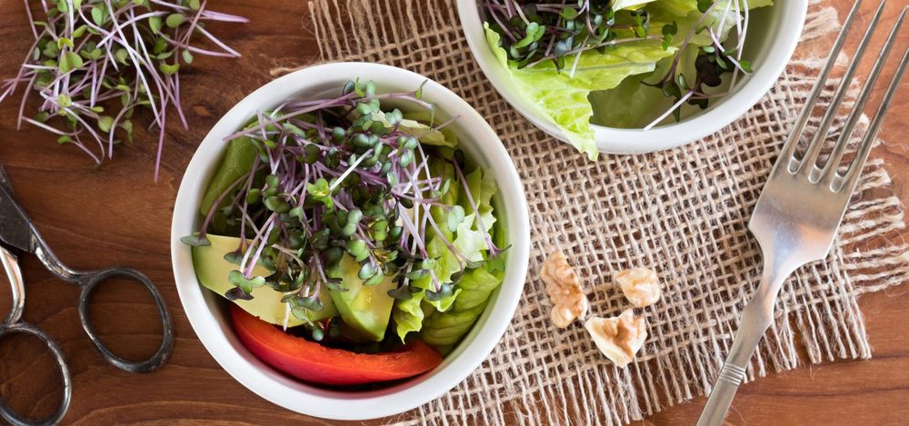 A microgreens salad from Dr.Sprouts, Extico's farm