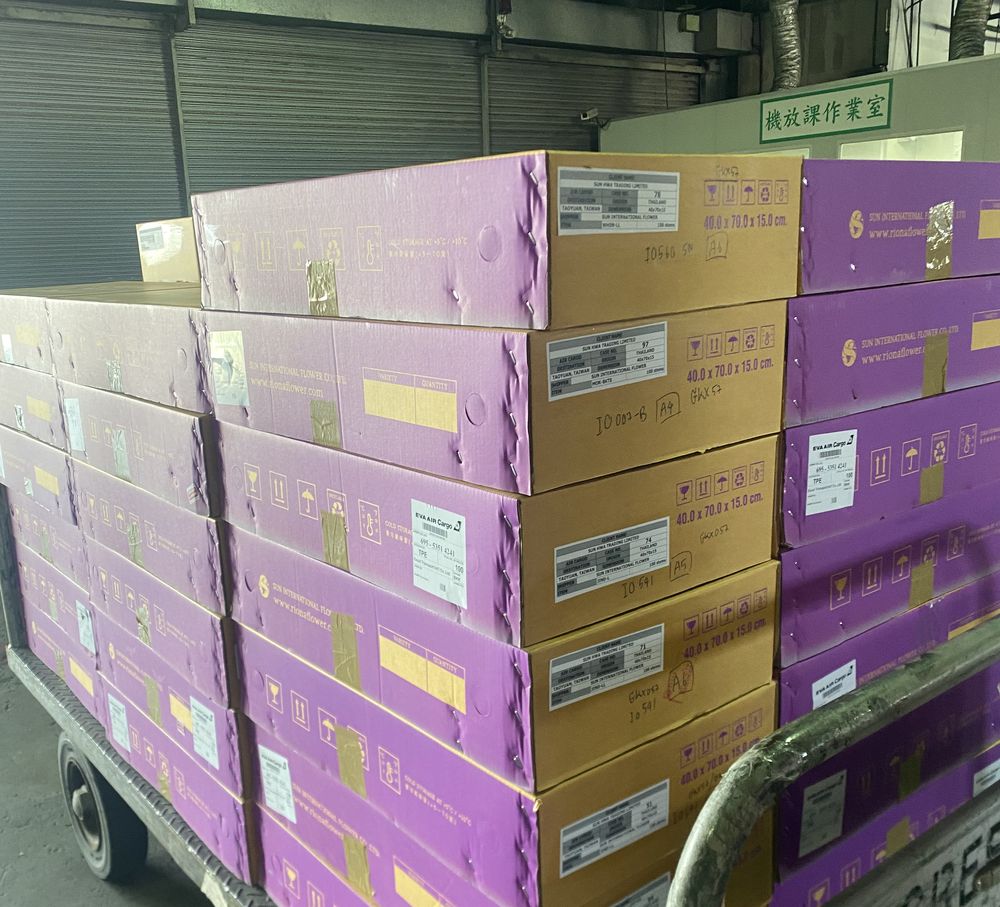 กล่องกล้วยไม้ของบริษัทในเครือ ติดฉลาก EVA Air Cargo ถึงคลังสินค้าสนามบินในไต้หวัน
