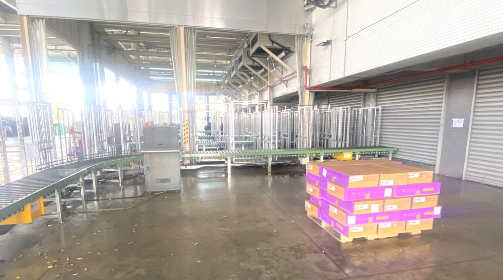 A pallet of our group's RIONA orchid cartons in an airport cargo hall in Taiwan